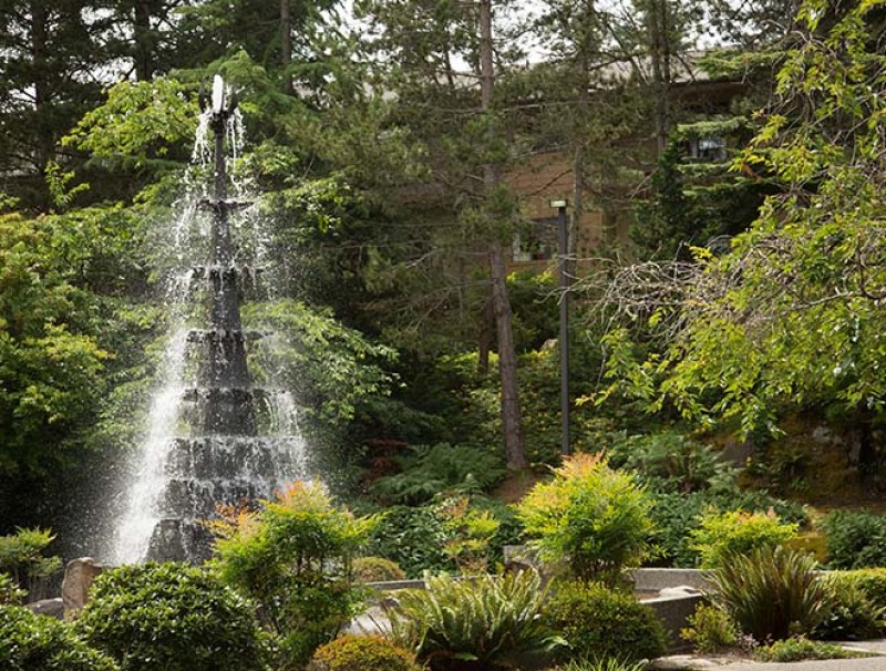 Bellewood Issaquah 2016039 500x660