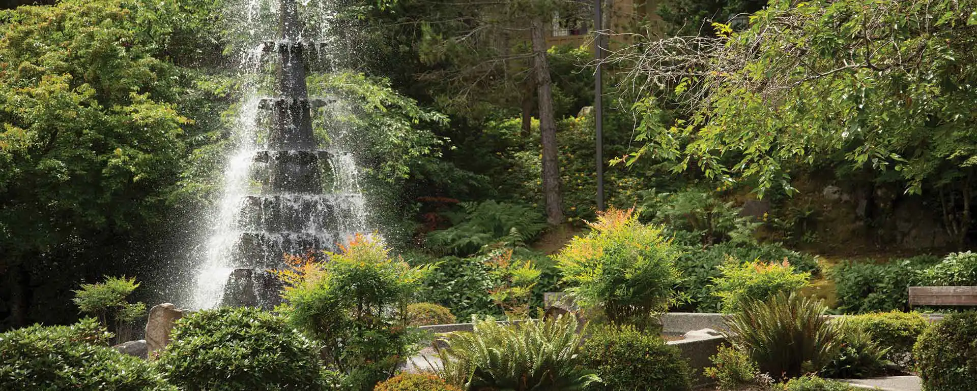 Bellewood Issaquah 2016039 770X1920
