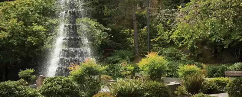 Bellewood Issaquah 2016039 770X1920